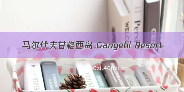 马尔代夫甘格西岛 Gangehi Resort