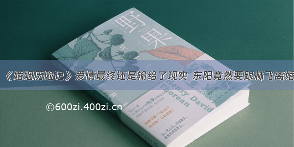 《婚姻历险记》爱情最终还是输给了现实 东阳竟然要跟林飞离婚