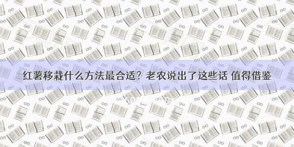 红薯移栽什么方法最合适？老农说出了这些话 值得借鉴