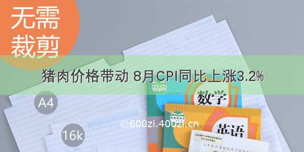 猪肉价格带动 8月CPI同比上涨3.2%