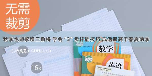 秋季也能繁殖三角梅 学会“3”步扦插技巧 成活率高于春夏两季