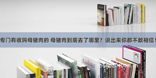 专门有收购母猪肉的 母猪肉到底去了哪里？说出来你都不敢相信！