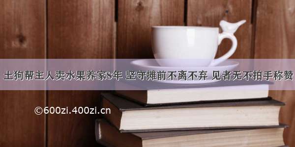 土狗帮主人卖水果养家8年 坚守摊前不离不弃 见者无不拍手称赞