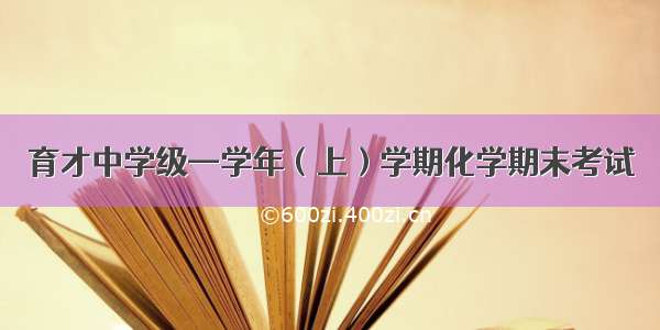 育才中学级—学年（上）学期化学期末考试