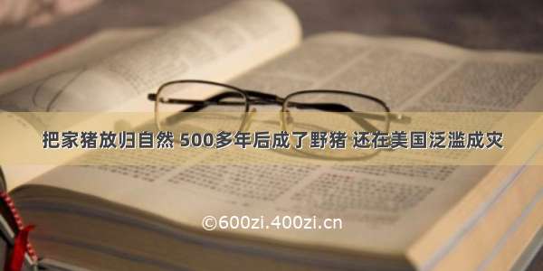 把家猪放归自然 500多年后成了野猪 还在美国泛滥成灾