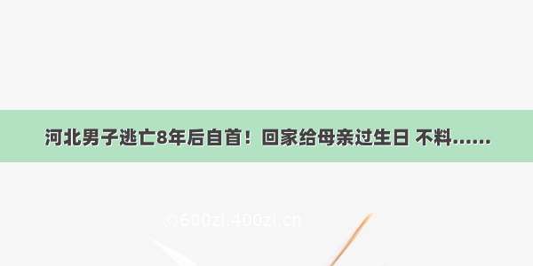 河北男子逃亡8年后自首！回家给母亲过生日 不料……