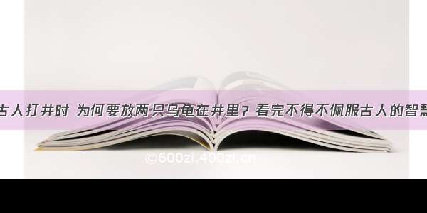 古人打井时 为何要放两只乌龟在井里？看完不得不佩服古人的智慧