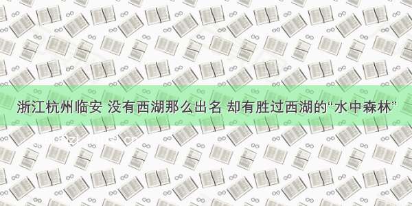 浙江杭州临安 没有西湖那么出名 却有胜过西湖的“水中森林”