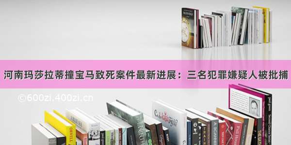 河南玛莎拉蒂撞宝马致死案件最新进展：三名犯罪嫌疑人被批捕