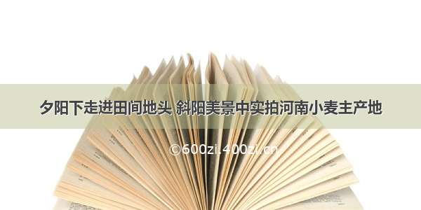 夕阳下走进田间地头 斜阳美景中实拍河南小麦主产地