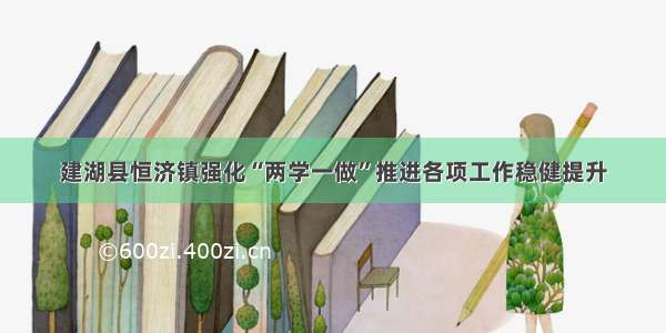 建湖县恒济镇强化“两学一做”推进各项工作稳健提升