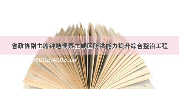 省政协副主席钟勉视察主城区防洪能力提升综合整治工程