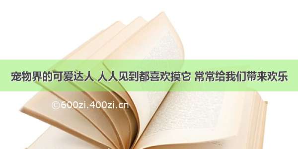 宠物界的可爱达人 人人见到都喜欢摸它 常常给我们带来欢乐