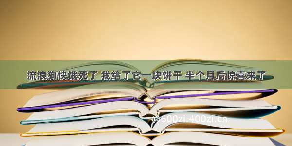 流浪狗快饿死了 我给了它一块饼干 半个月后惊喜来了