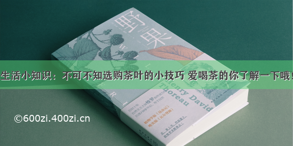 生活小知识：不可不知选购茶叶的小技巧 爱喝茶的你了解一下哦！