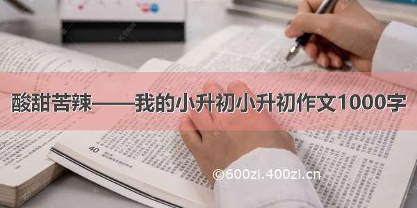 酸甜苦辣——我的小升初小升初作文1000字