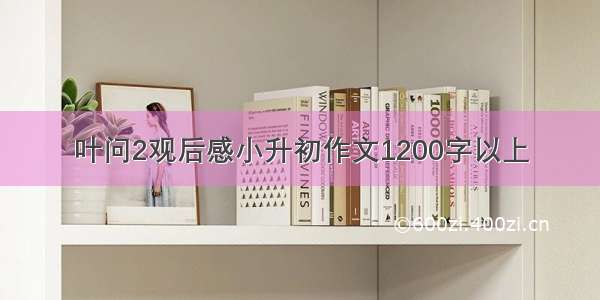 叶问2观后感小升初作文1200字以上