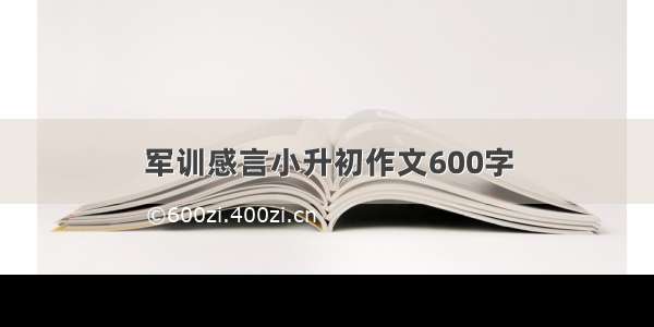 军训感言小升初作文600字