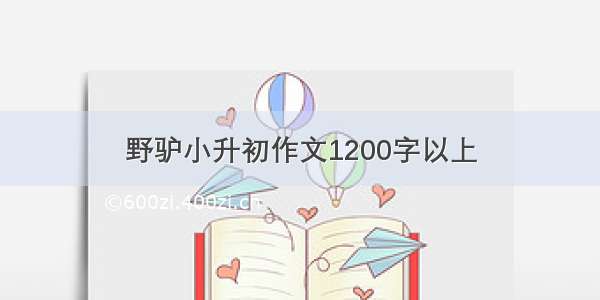 野驴小升初作文1200字以上