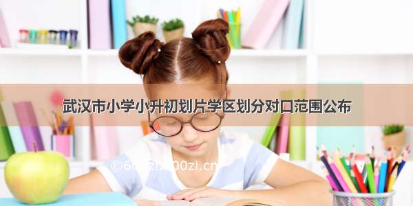 武汉市小学小升初划片学区划分对口范围公布