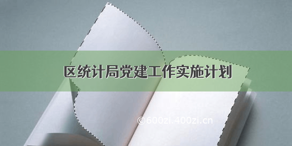 区统计局党建工作实施计划