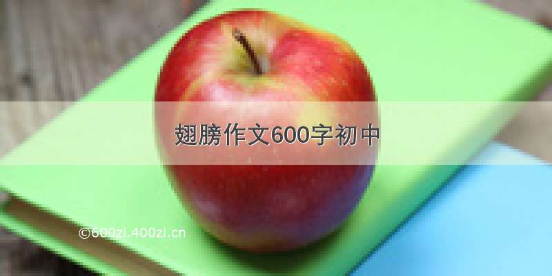 翅膀作文600字初中