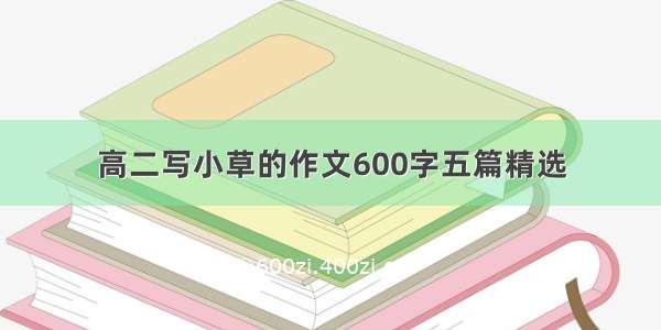 高二写小草的作文600字五篇精选