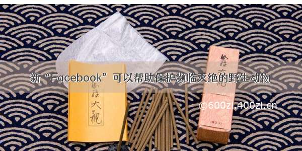 新“Facebook”可以帮助保护濒临灭绝的野生动物