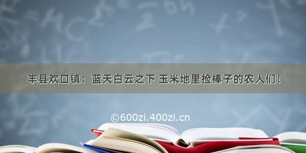 丰县欢口镇：蓝天白云之下 玉米地里捡棒子的农人们！