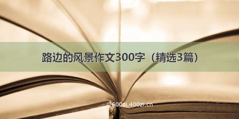 路边的风景作文300字（精选3篇）