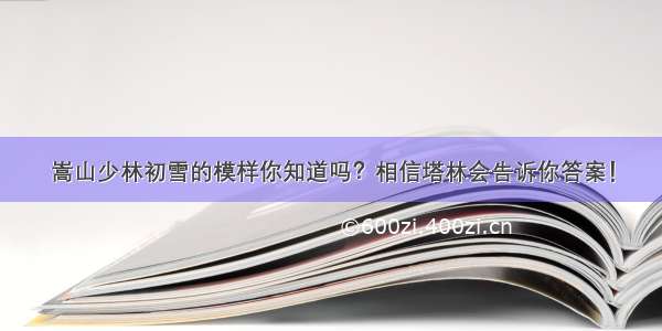 嵩山少林初雪的模样你知道吗？相信塔林会告诉你答案！