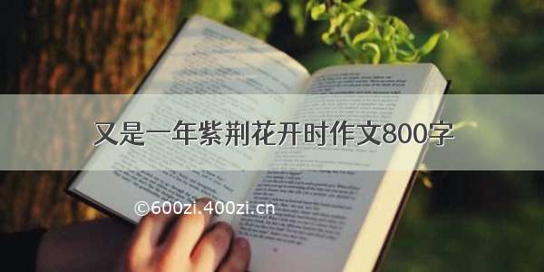 又是一年紫荆花开时作文800字