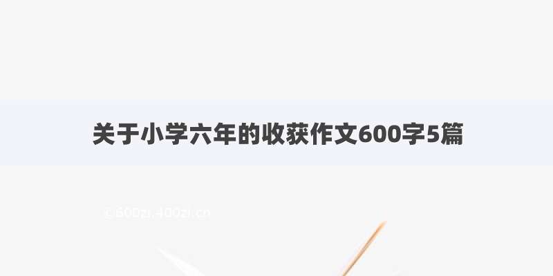 关于小学六年的收获作文600字5篇