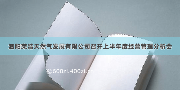 泗阳荣浩天然气发展有限公司召开上半年度经营管理分析会