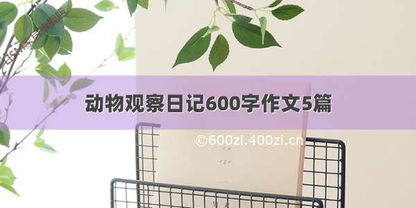 动物观察日记600字作文5篇