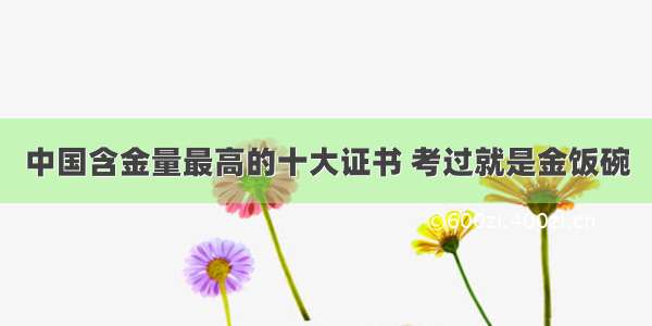 中国含金量最高的十大证书 考过就是金饭碗