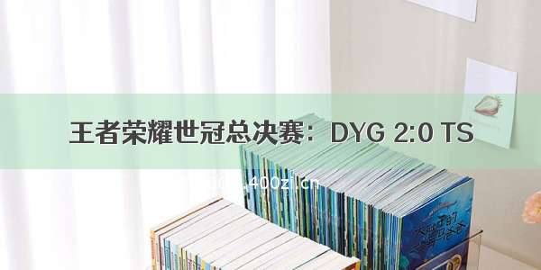 王者荣耀世冠总决赛：DYG 2:0 TS