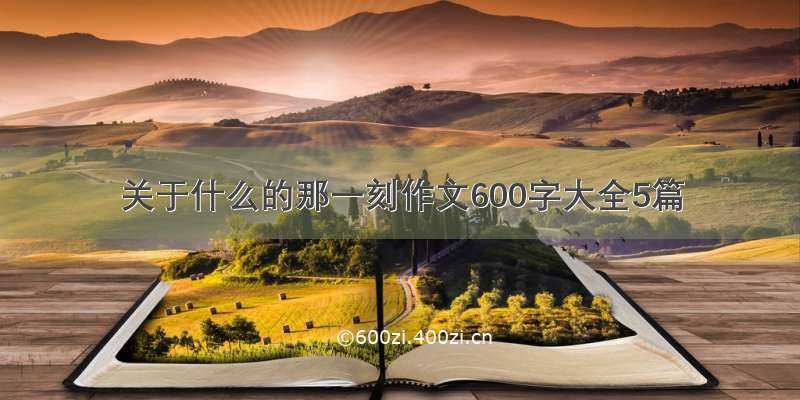 关于什么的那一刻作文600字大全5篇