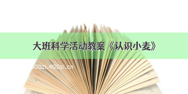 大班科学活动教案《认识小麦》