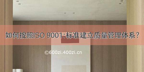 如何按照ISO 9001:标准建立质量管理体系？