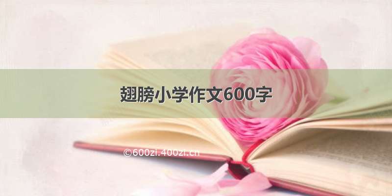 翅膀小学作文600字