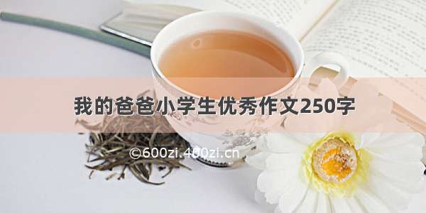 我的爸爸小学生优秀作文250字