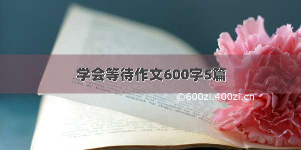 学会等待作文600字5篇