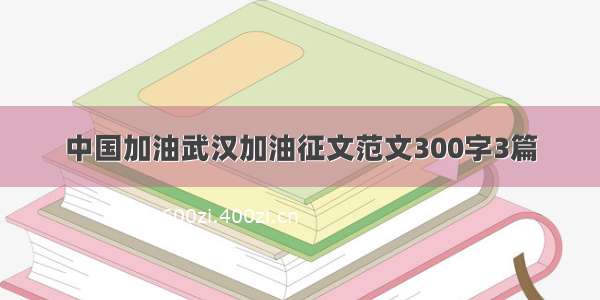 中国加油武汉加油征文范文300字3篇