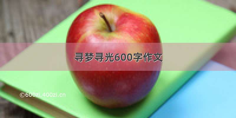 寻梦寻光600字作文