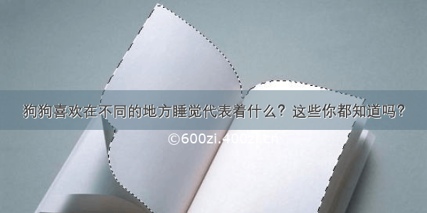 狗狗喜欢在不同的地方睡觉代表着什么？这些你都知道吗？