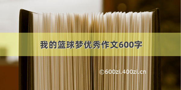 我的篮球梦优秀作文600字