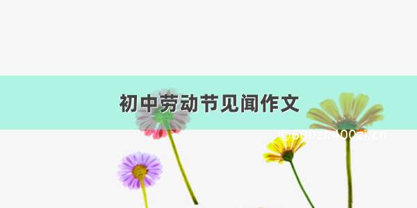 初中劳动节见闻作文