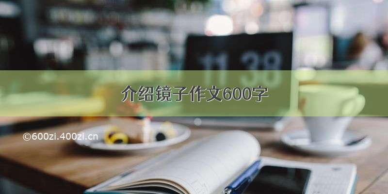 介绍镜子作文600字