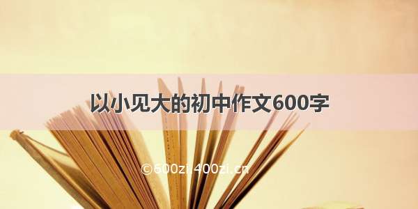 以小见大的初中作文600字